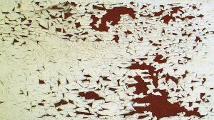 Five Common Myths About Lead Poisoning