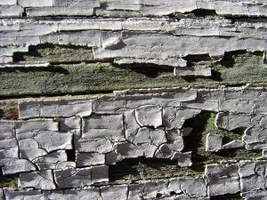 Peeling Paint